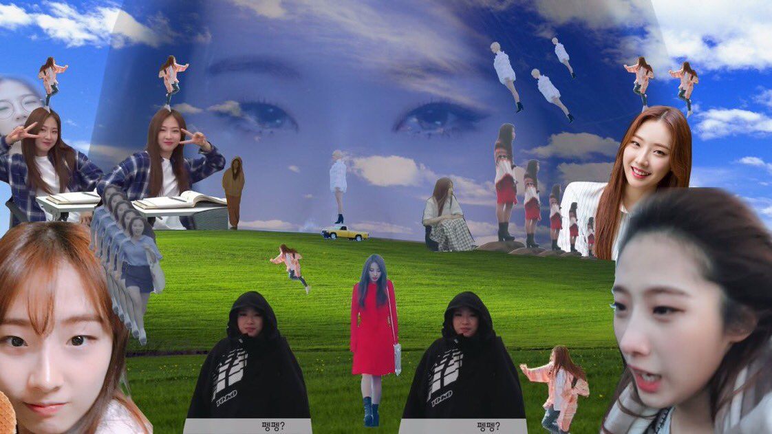 loonavault's tweet image. 