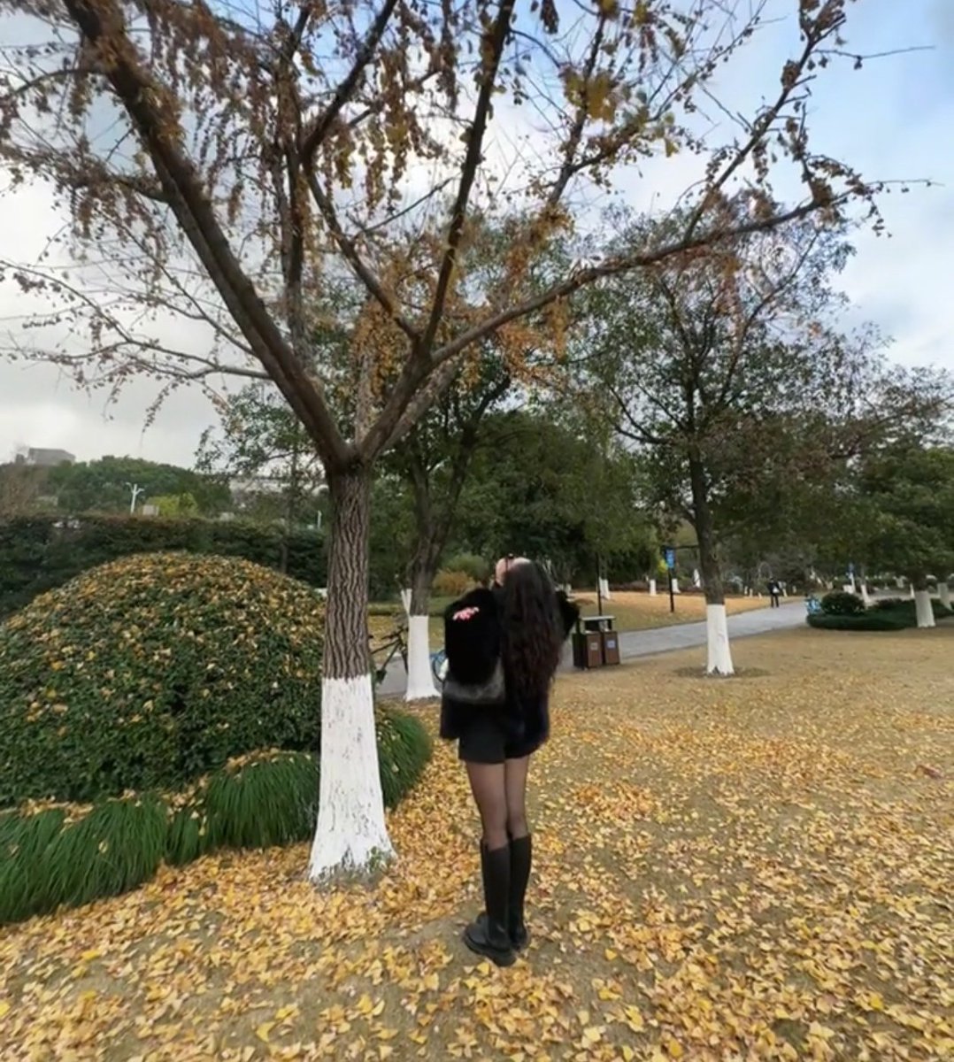 无执念无成见 tweet media