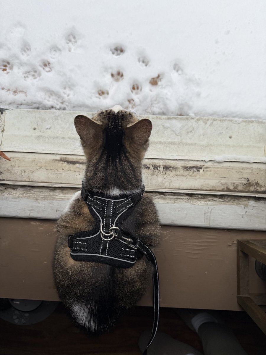 Old Cob (@reallyoldcob) on Twitter photo 