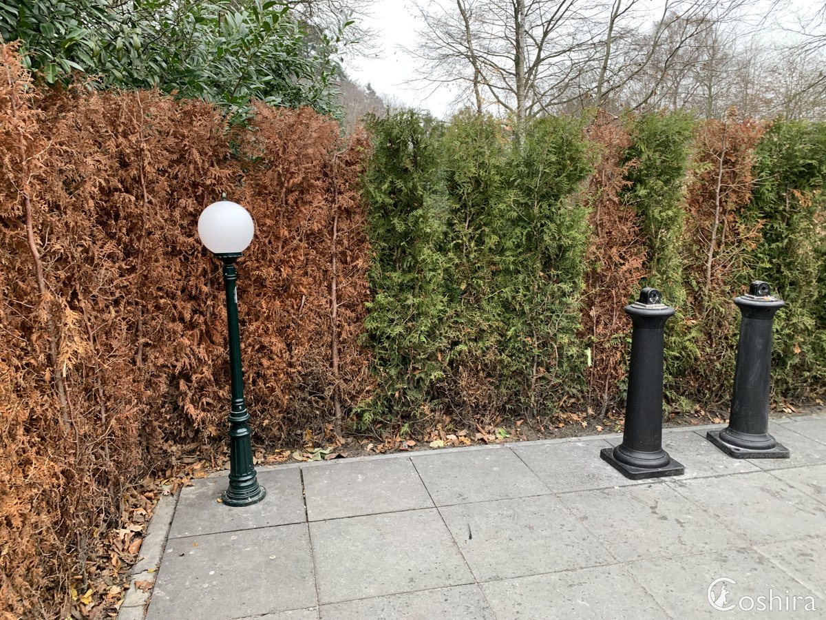 Coshira_'s tweet photo. Bij de rookzone vlakbij Baron1898 is de lamp ook weer rechtgezet.

#Efteling #Rookzone https://t.co/TWm1IWnDvk