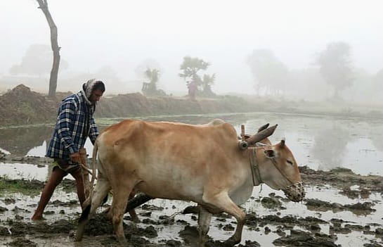 শীতে গরীবের কান্না দেখার মানুষ নাই