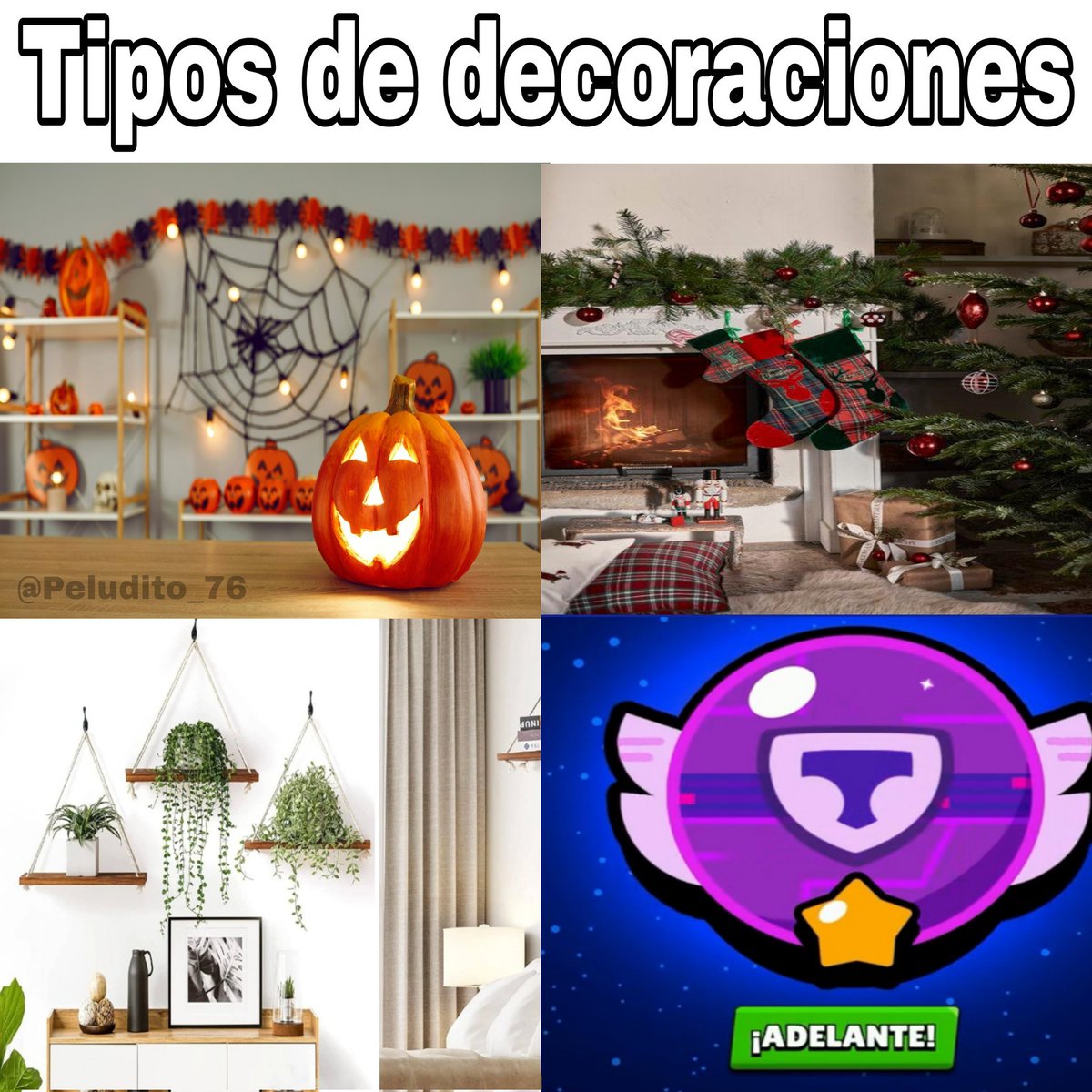 💤 Peludito 76 💤 tweet media