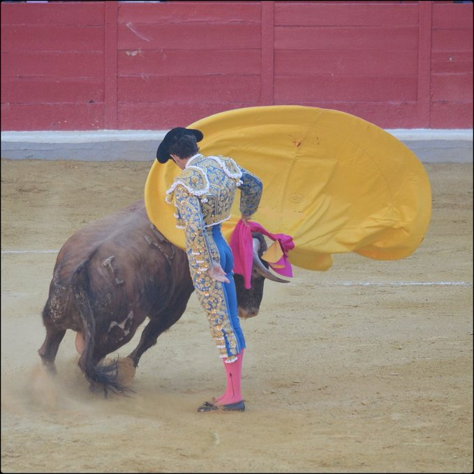 ¡Buenos días! #FelizSemanaATodos 
A una semana de la #Lotería ¡Suerte para todos! ¿Quién torea?  ForosToreros.Com
Unos dicen que José Tomás, inconfundible. Otros, no. La suerte pertenece a los toreros.