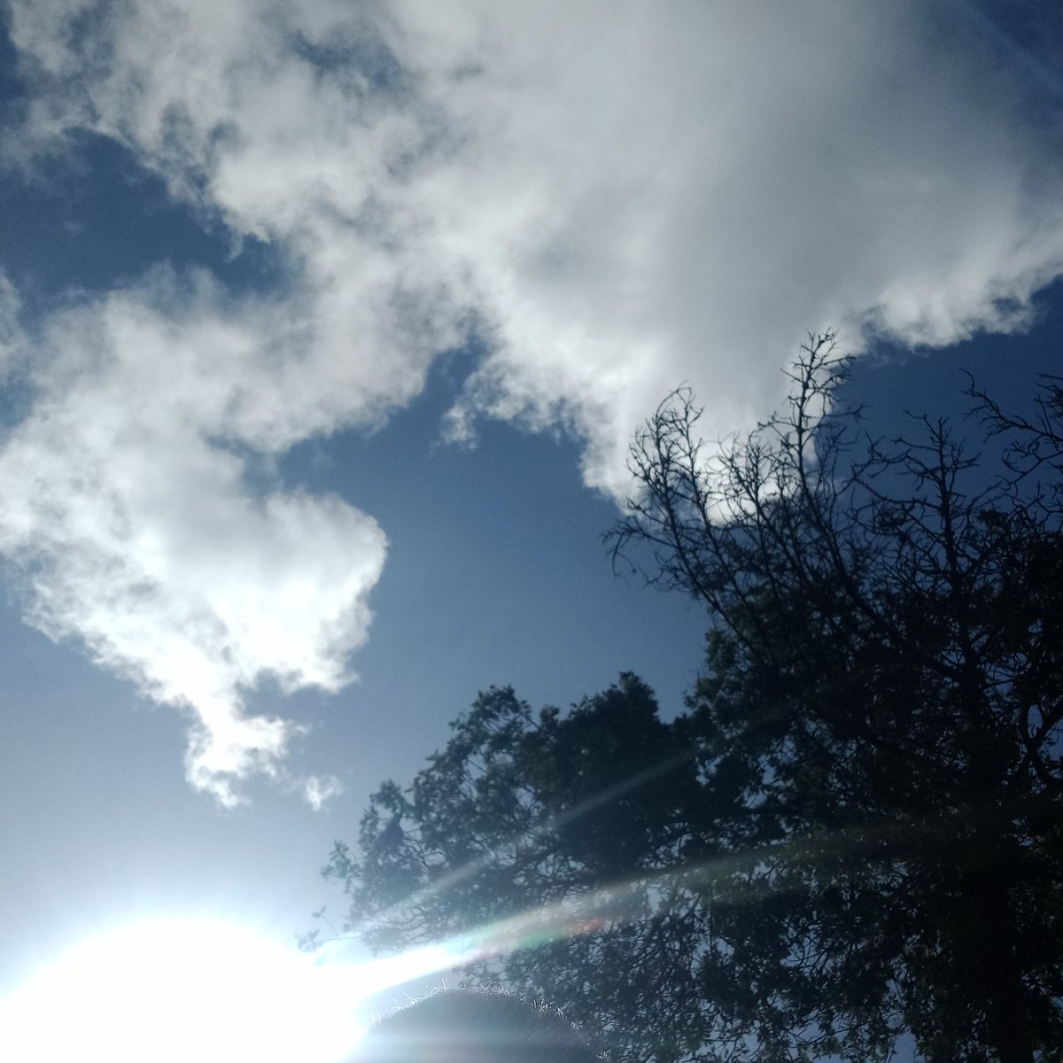 César Augusto Pinzón tweet media