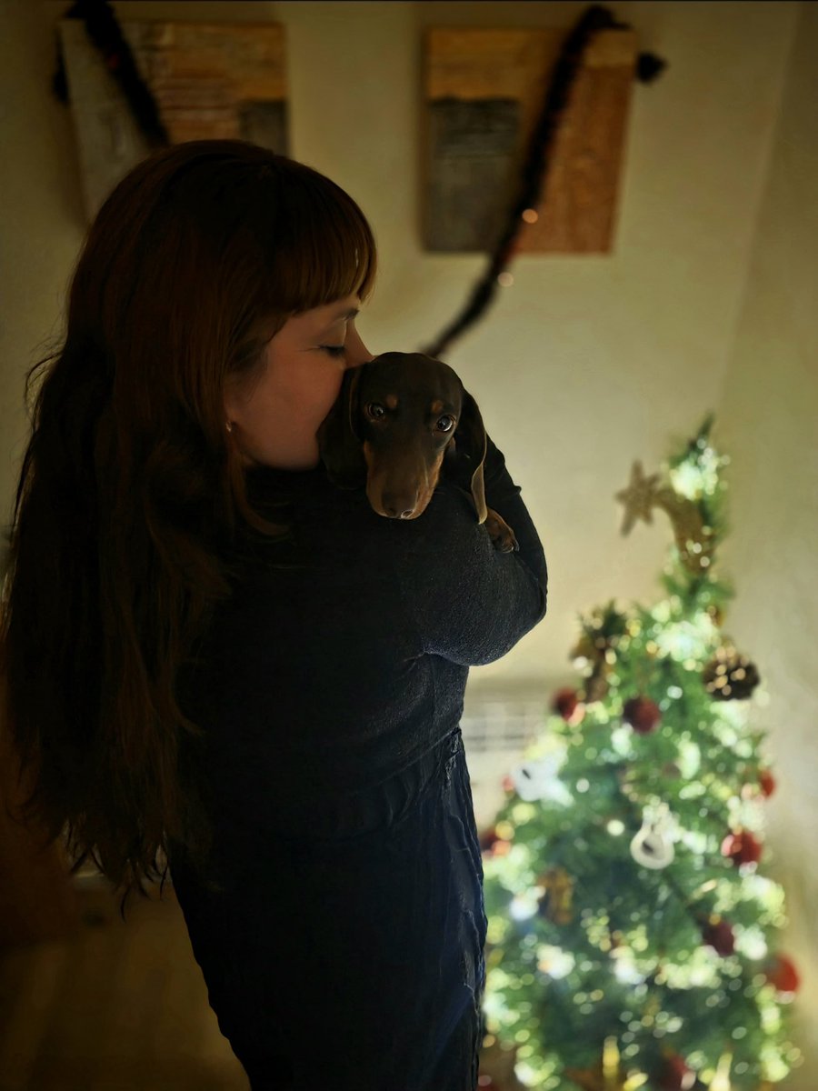 sofialopppez's tweet image. 🎄🐶❤️