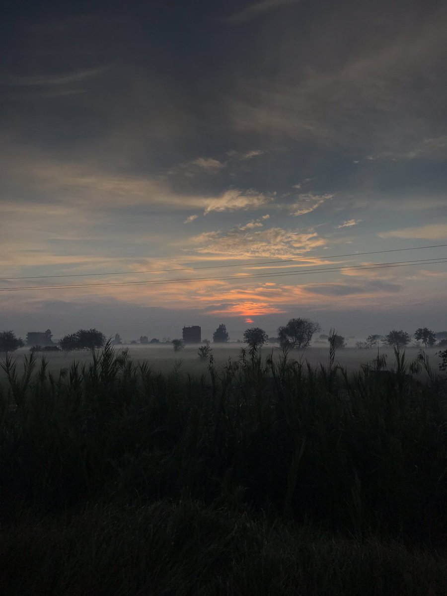 مِن نافِذة القِطار، بِتوقيـتِ السادِسـه صباحًـا🌤