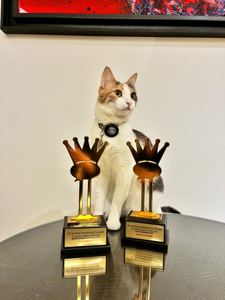 Ben ve Dürüm, İstanbul Teknik Üniversitesi öğrencilerine bu iki değerli ödül için çok teşekkür ediyoruz. Yokuş aşağı koşullara rağmen, neşeyle, inatla, umutla devam ettirdiğiniz mizah tutkunuzdan ve iyi niyetinizden öpüyor, sizi çok seviyoruz ❤️😇✌🏽