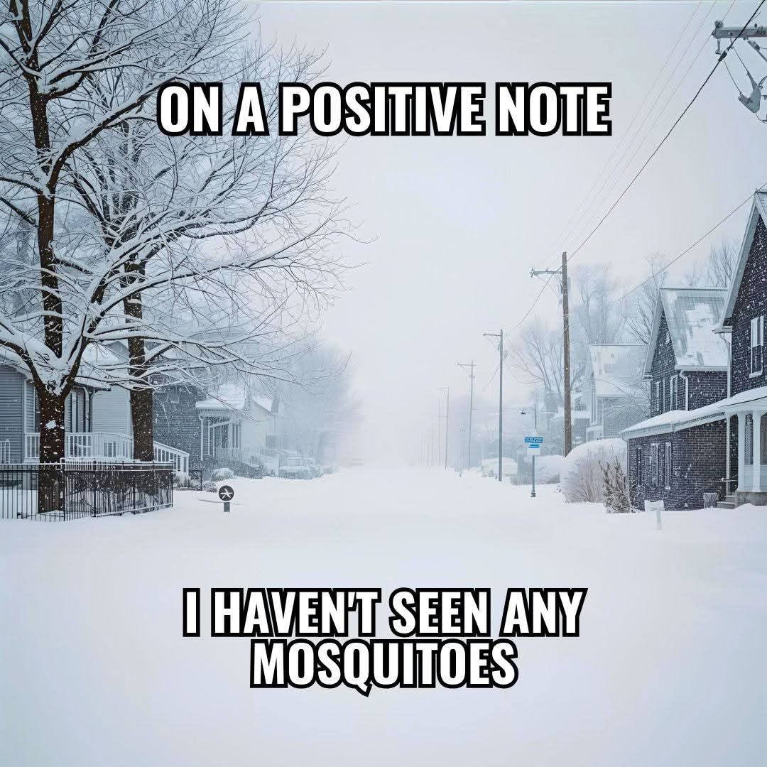 City of Sterling, Illinois tweet media