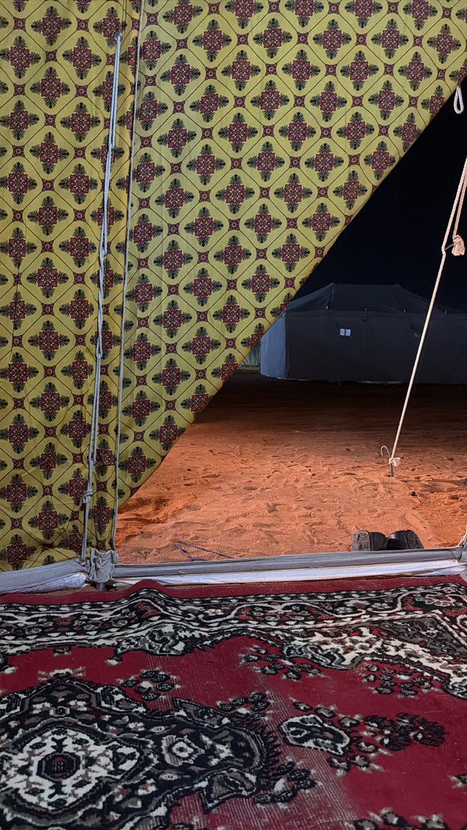 بدوي 🐪🤍. tweet media