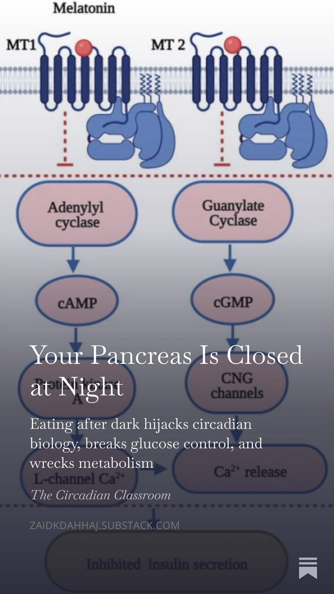 Zaid K. Dahhaj tweet media