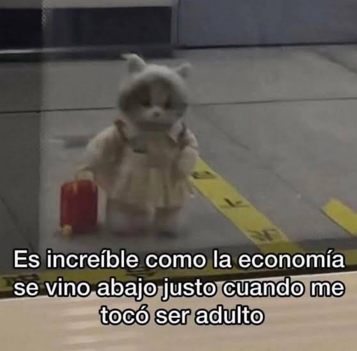 Guarromantico_'s tweet photo. Es increíble. https://t.co/Fa9JYZpf0R