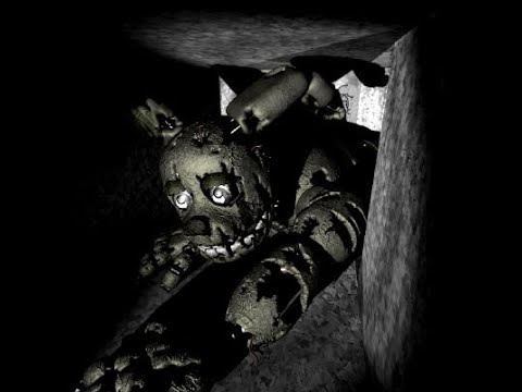 This is what my cat looks like when I find her under my bed