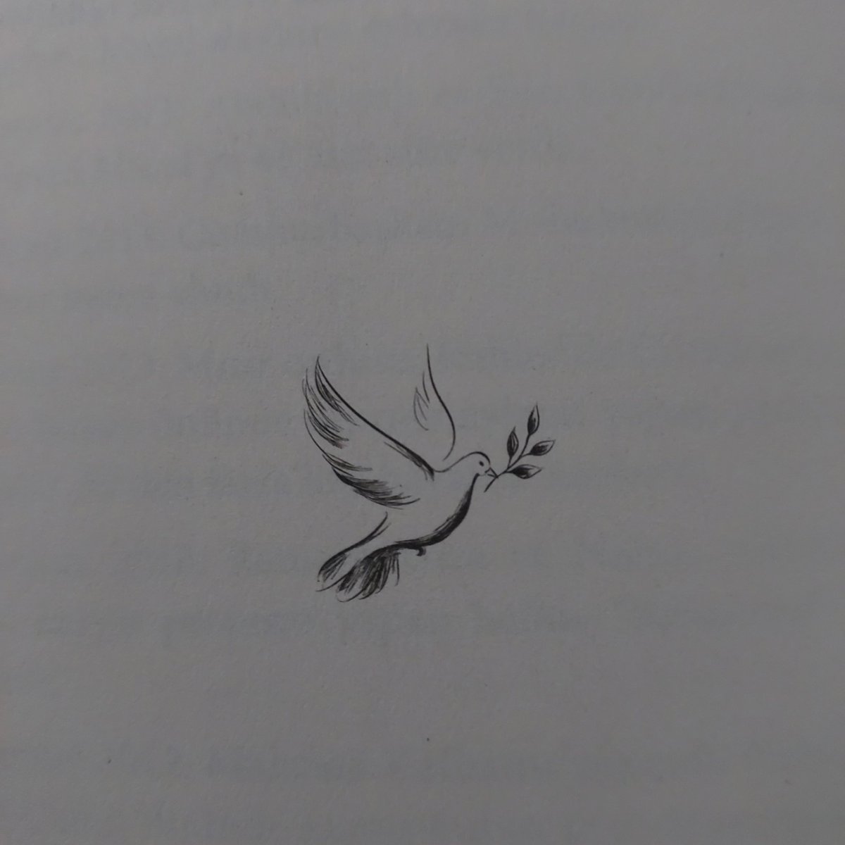 Siz Dünyayı Afferder miydiniz ?