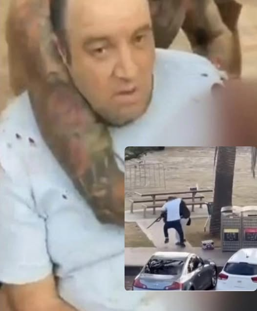 pier luigi pinna tweet media