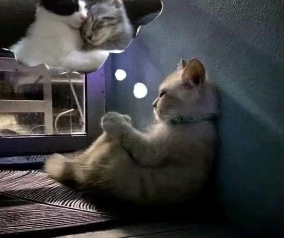 غَ (@gllzyu) on Twitter photo 