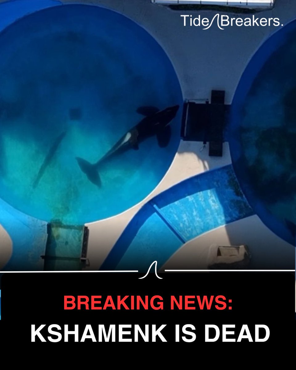 TideBreakers tweet media