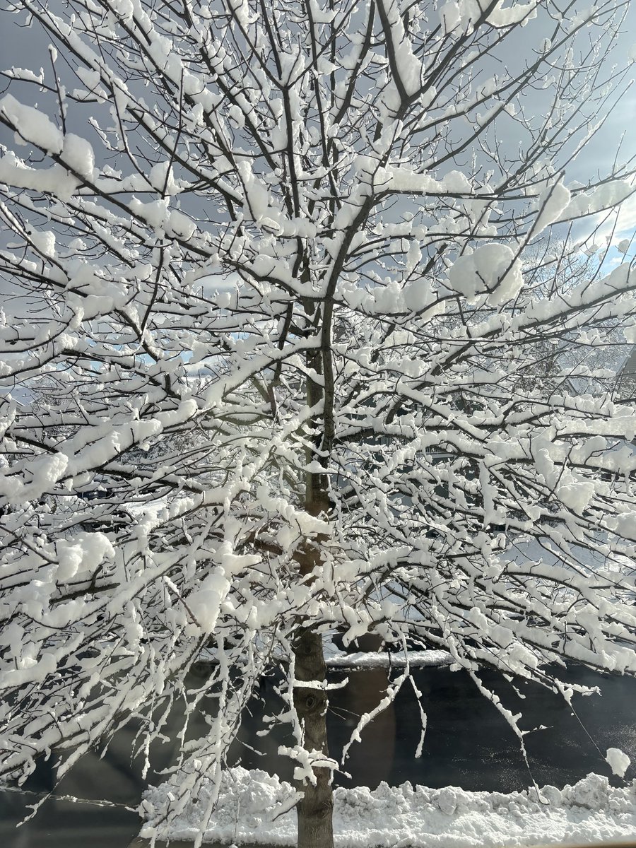 Xixi795's tweet photo. 下雪啦⛄️ https://t.co/8Xkul5ch2G