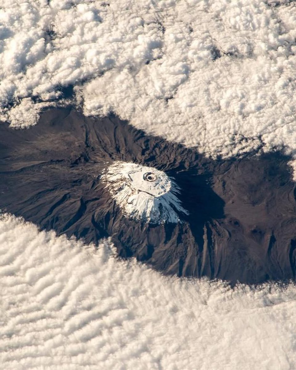VisitTanzania1's tweet image. An awe-inspiring view from space: Mount Kilimanjaro, standing tall in Tanzania 🌍
#Kilimanjaro #VisitTanzania #SpaceView #NatureAtItsBest