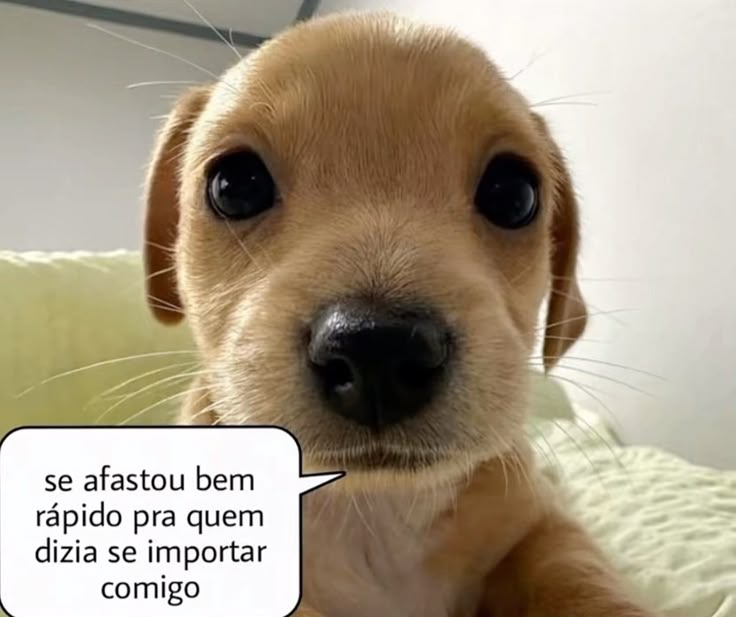 odeiootaco's tweet photo. https://t.co/X1XO5RCwgq