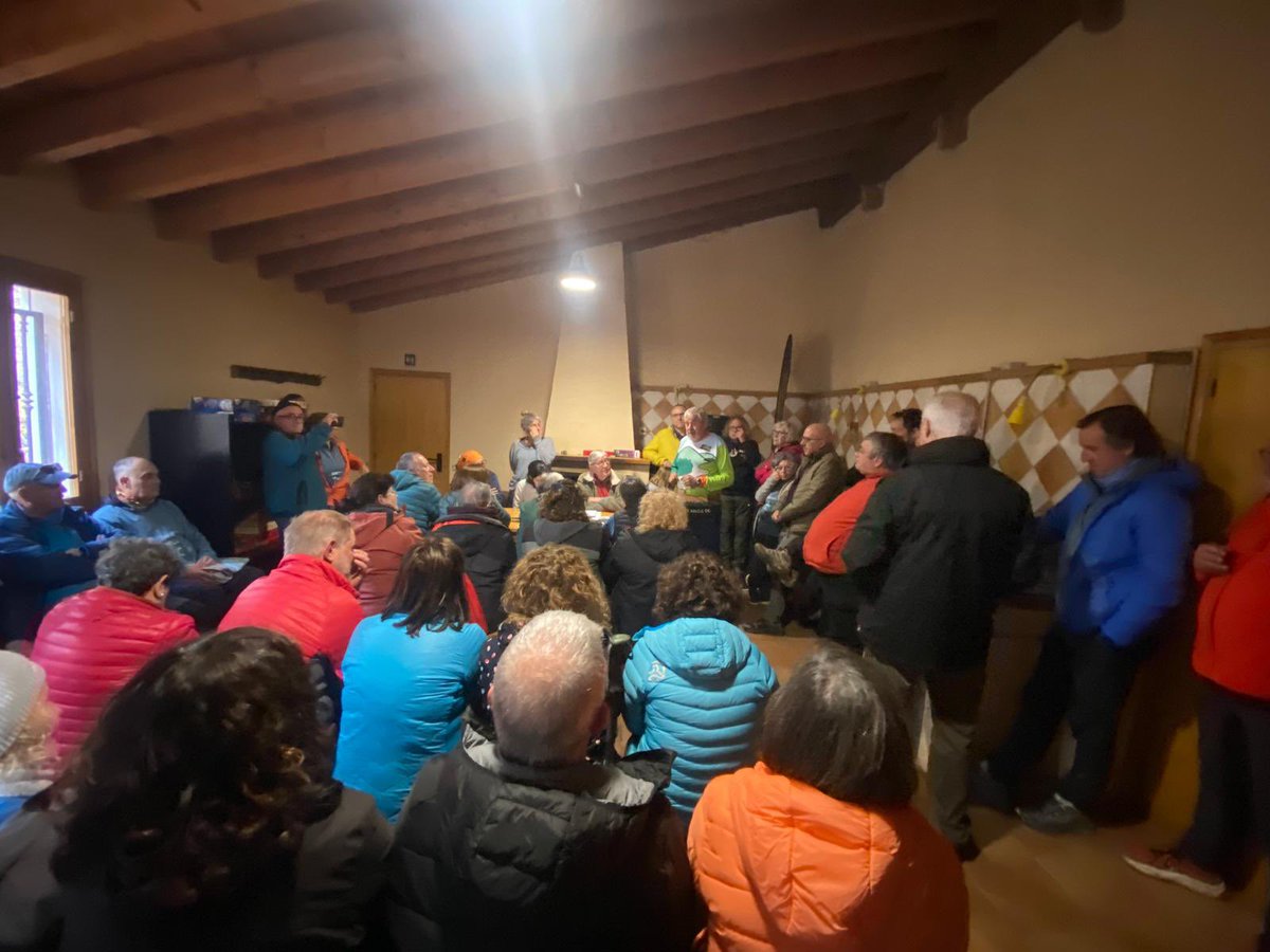 aamp.cat tweet media