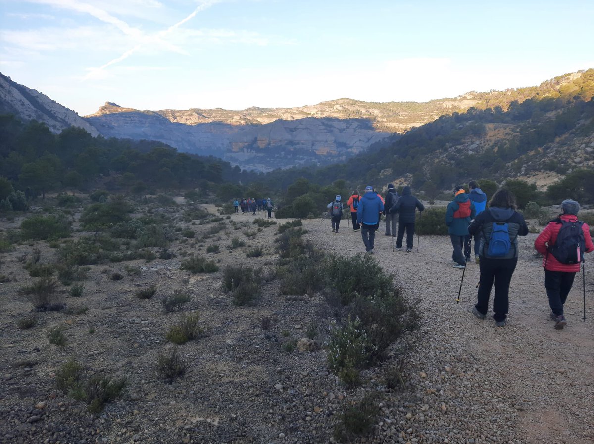 aamp.cat tweet media