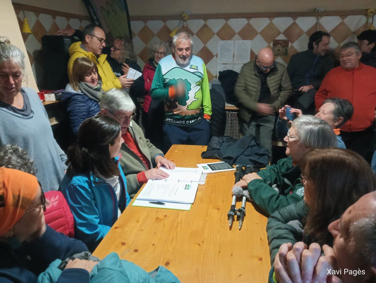 aamp.cat tweet media