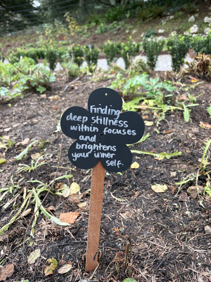 Find that stillness for a better self