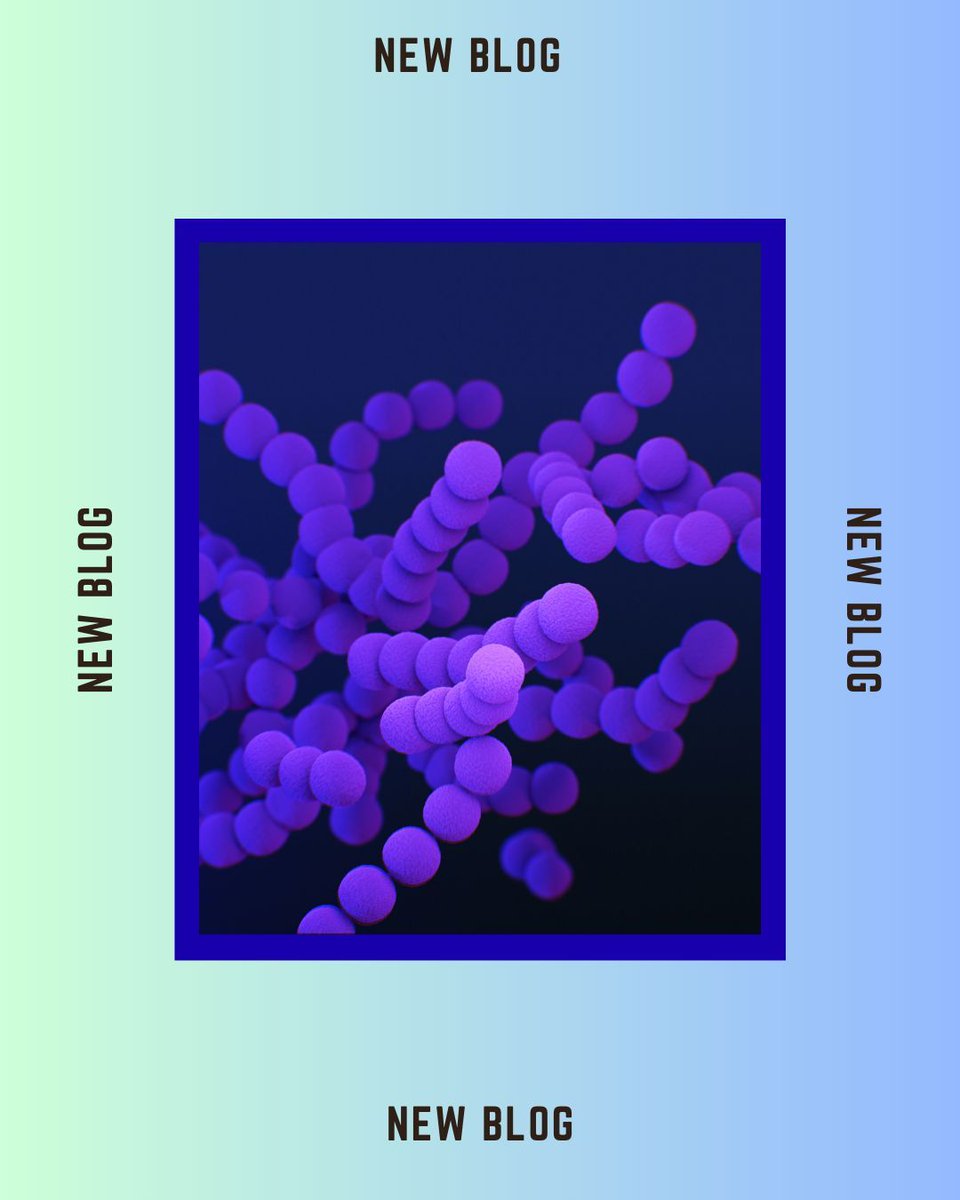 Johns Hopkins WHOCC for Nursing & Midwifery tweet media