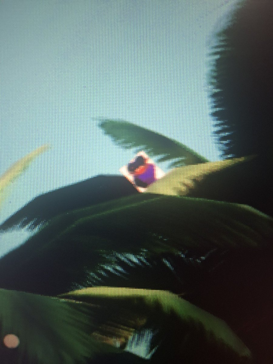 Cofinal_'s tweet photo. Cheeky devs didnt think we'd see this
#glaghorsesimulator50billion https://t.co/QB3OvwN7db