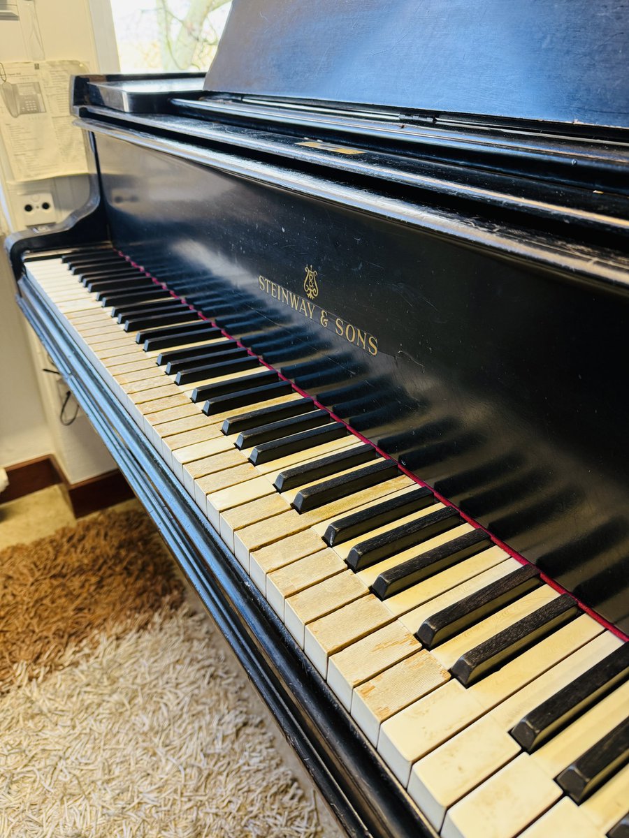なぜ白鍵をコレクションのように並べてあるのか？🙈
しかも番号は手書き……

とてつもなく古くて荒れ果てた、
ちょっと切なすぎるスタインウェイでした😭
