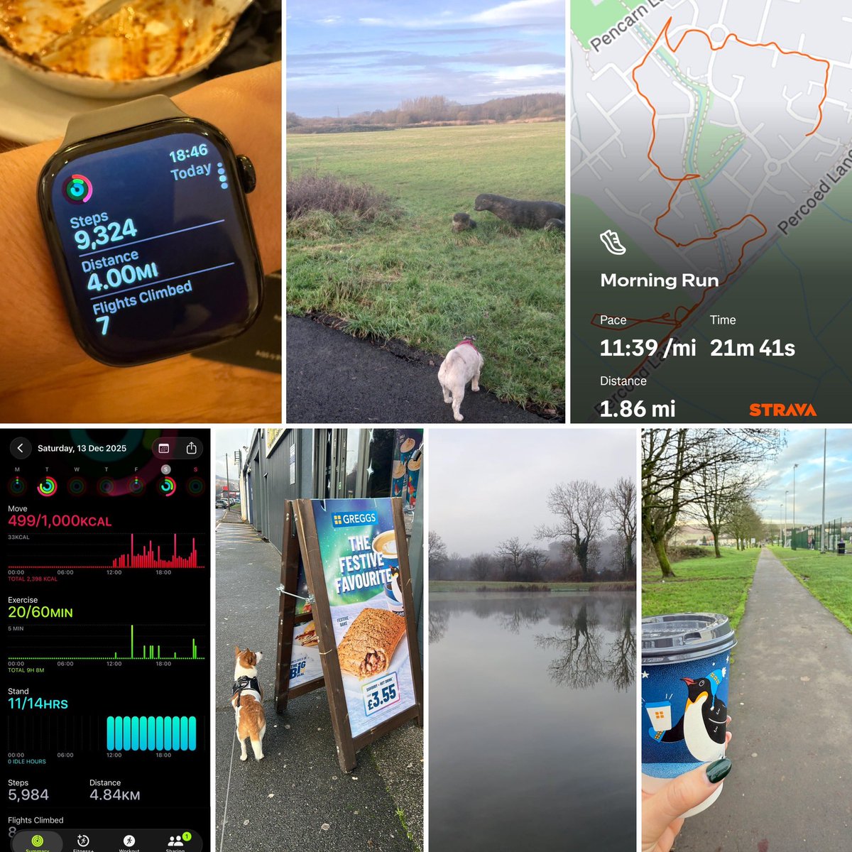 Mrs Williams tweet media