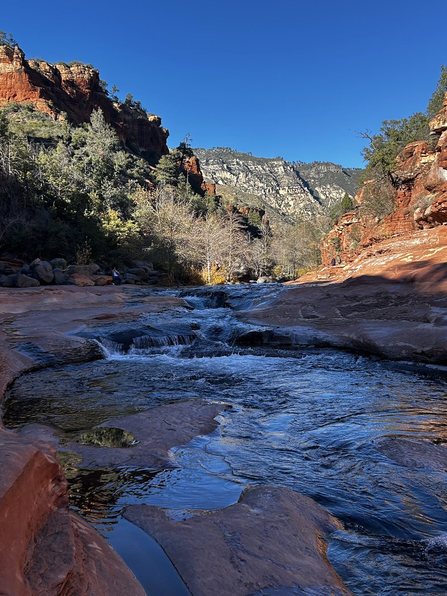 CCatThrive's tweet photo. Perfect day to go for a hike in AZ. https://t.co/dGiaNvcX1u