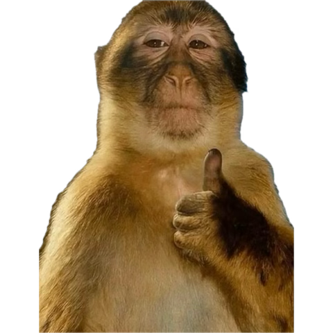 Alexander G tweet media