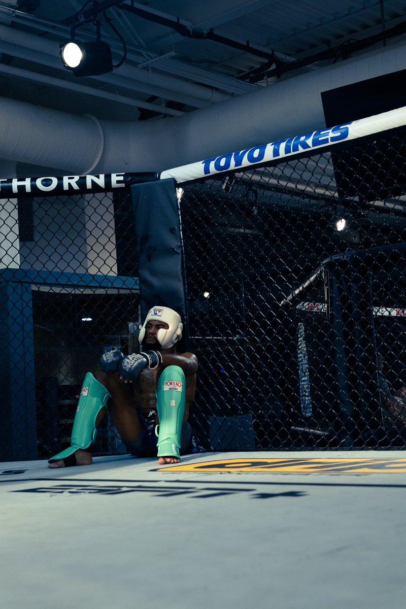 THE LAST PIRATE 🏴☠️ tweet media