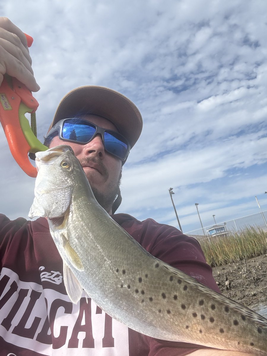 Max Cave tweet media