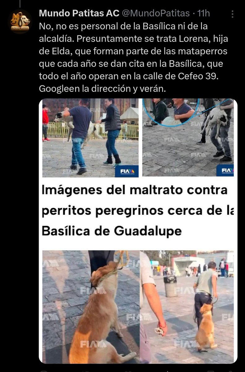 LicAnimalista's tweet image. Elda Mizuno fue un ser despreciable, dedico su vida a asesinar seres inocentes en complicidad con otras escorias, ella murió (esperemos siga pagando) pero dejo a sus descendientes que son igual de despreciables. Hay denuncias pero @FiscaliaCDMX no actúa. CCP. @ClaraBrugadaM