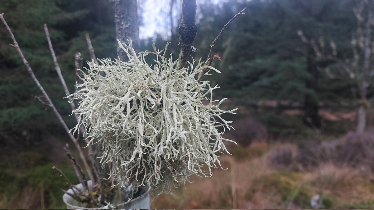 Steph & Hurly & Charlie 🏊‍♀️🚴‍♀️🏃‍♀️ 💙🌻 tweet media