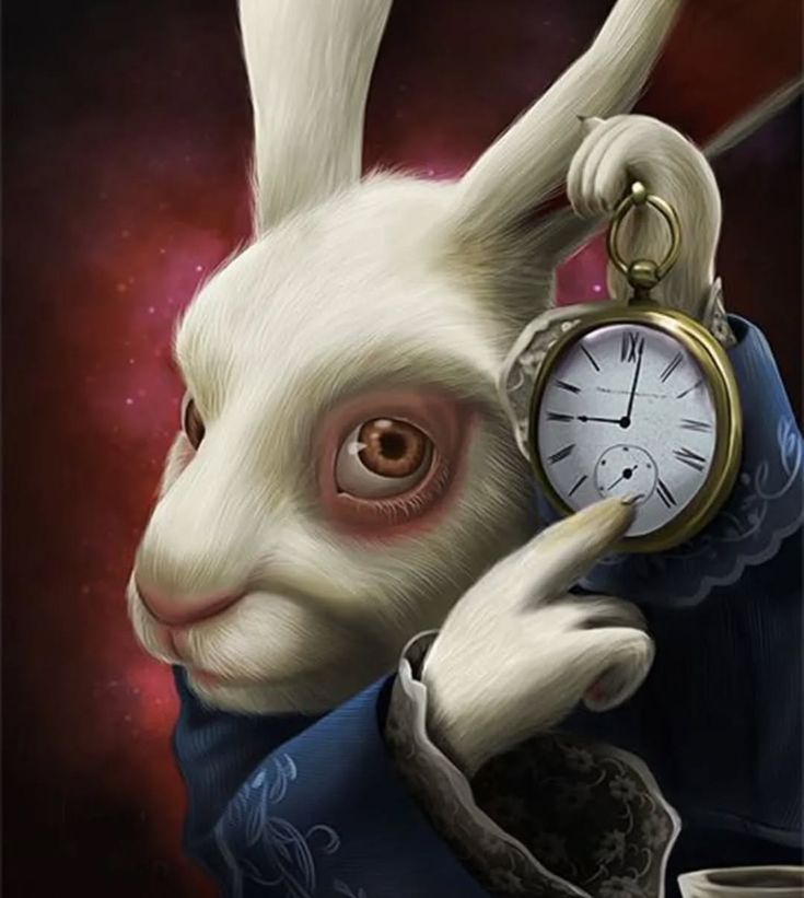 quedan 11 meses para el concierto de agorazein