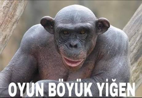 hakankurtcom's tweet photo. @baskindev https://t.co/gEoB025To9