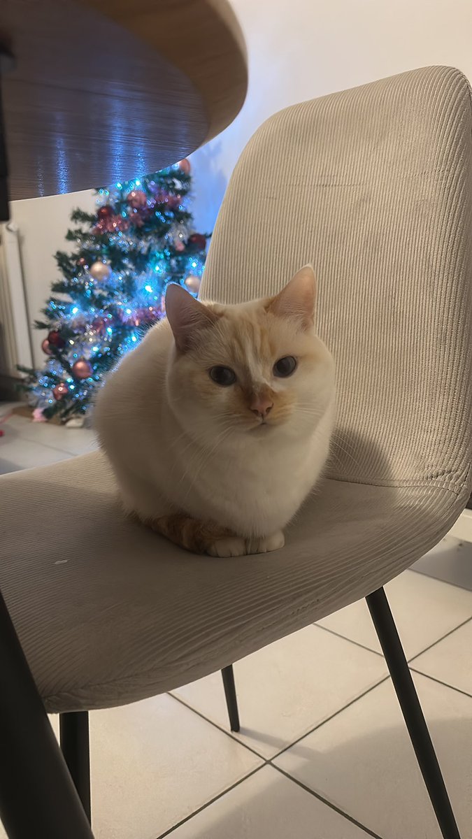 omg t’es si mignon mon fils