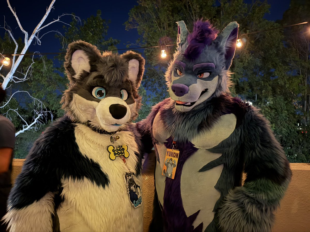 Night vibes with <a href="/Yukon_Wolf/">Yukon — wolf.dad</a> 

📸 <a href="/rfoxtail/">Ronin Foxtail</a>