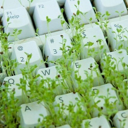 krankrBite's tweet image. ☘️  |  lectura semanal. 14/12 - 20/12
   ==&amp;gt; cardinales. (s, a y l).
   aries, cáncer, libra y capricornio.

peces. moños. nuevo chip, o querer cambiar de numero. un mensaje. signo mutable importante, sagitario o virgo. objeto importante se rompe. sueños lucidos. 👁️. 📸.