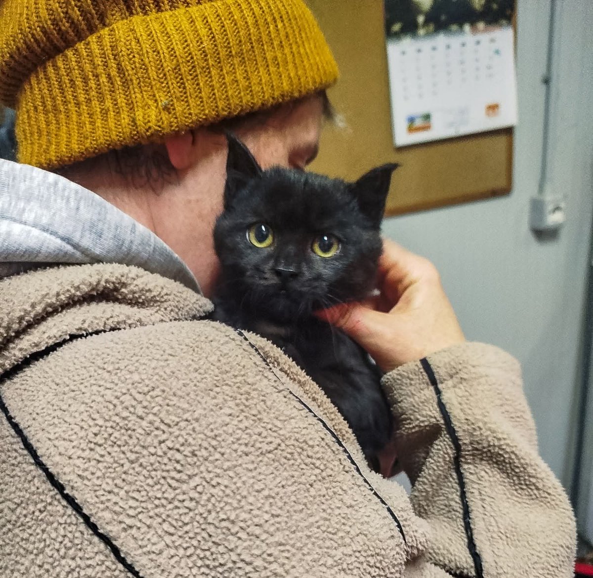 Gattile di Cuneo😻Prugna !
Piccoletta nera fumé... così piena di energia e di vitalità! 
Età: quasi 4 mesi !
X info 3491445712 X ADOTTARE PRENDERE SEMPRE APPUNTAMENTO