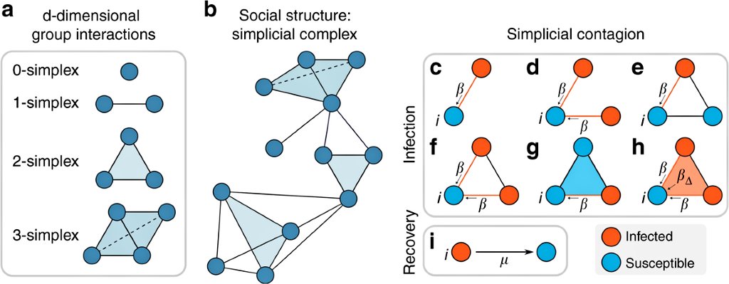Simplicial complexes are geometric structures built from points, edges, triangles, and higher-dimensional simplices that encode relationships among multiple entities, not just pairs. They generalize graphs by capturing higher-order interactions. In probability, simplicial