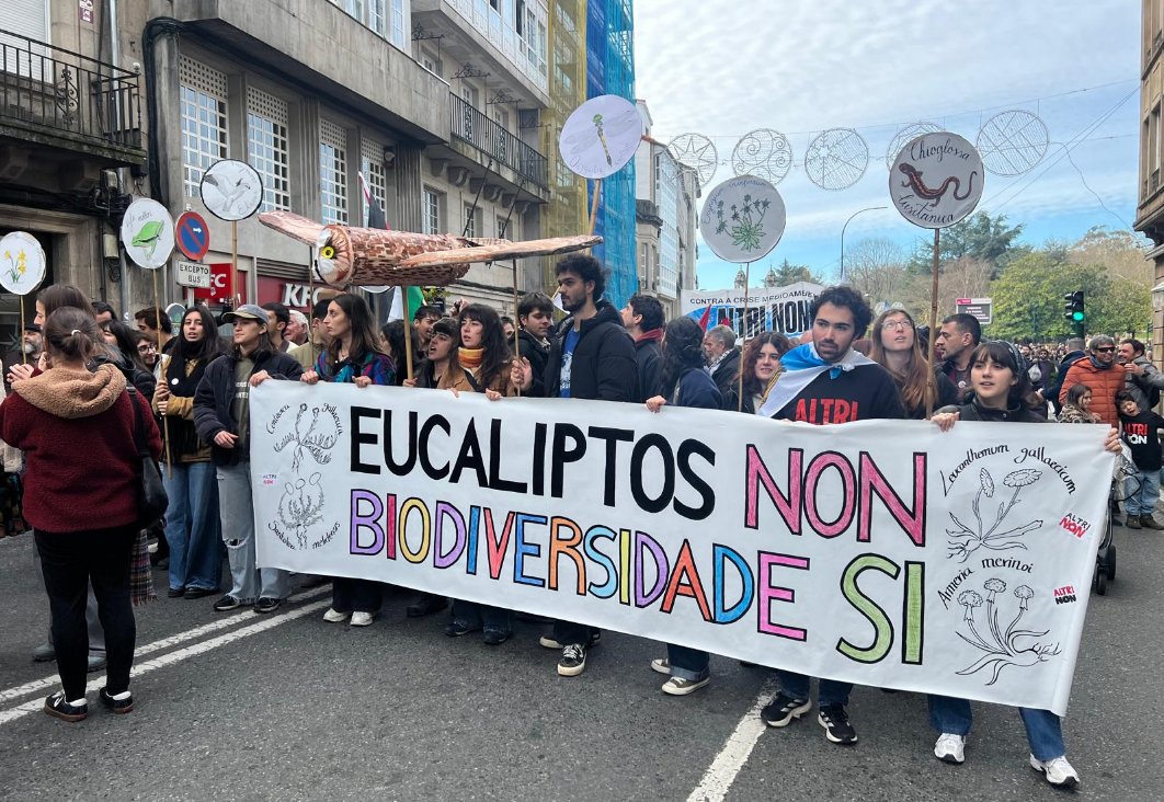 EucaliPPtos NON‼️
#AltriNon ‼️
Biodiversidade SI‼️