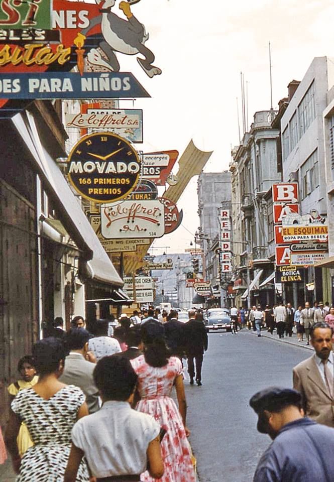 Passiflora 🏴 tweet media