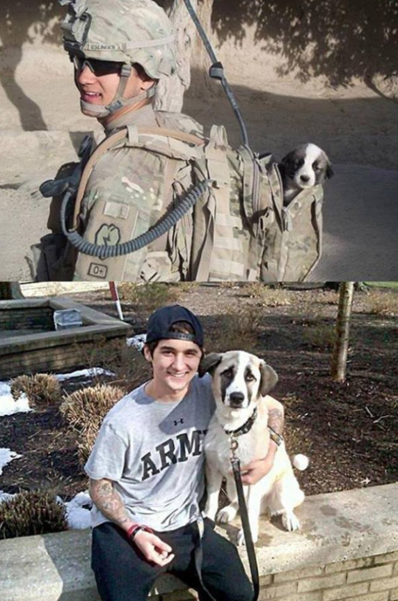 "He found this stray puppy during combat. After a lot of struggle he got him back to the US so they could spend a lifetime together."  Who else thinks this is amazing? 🐶