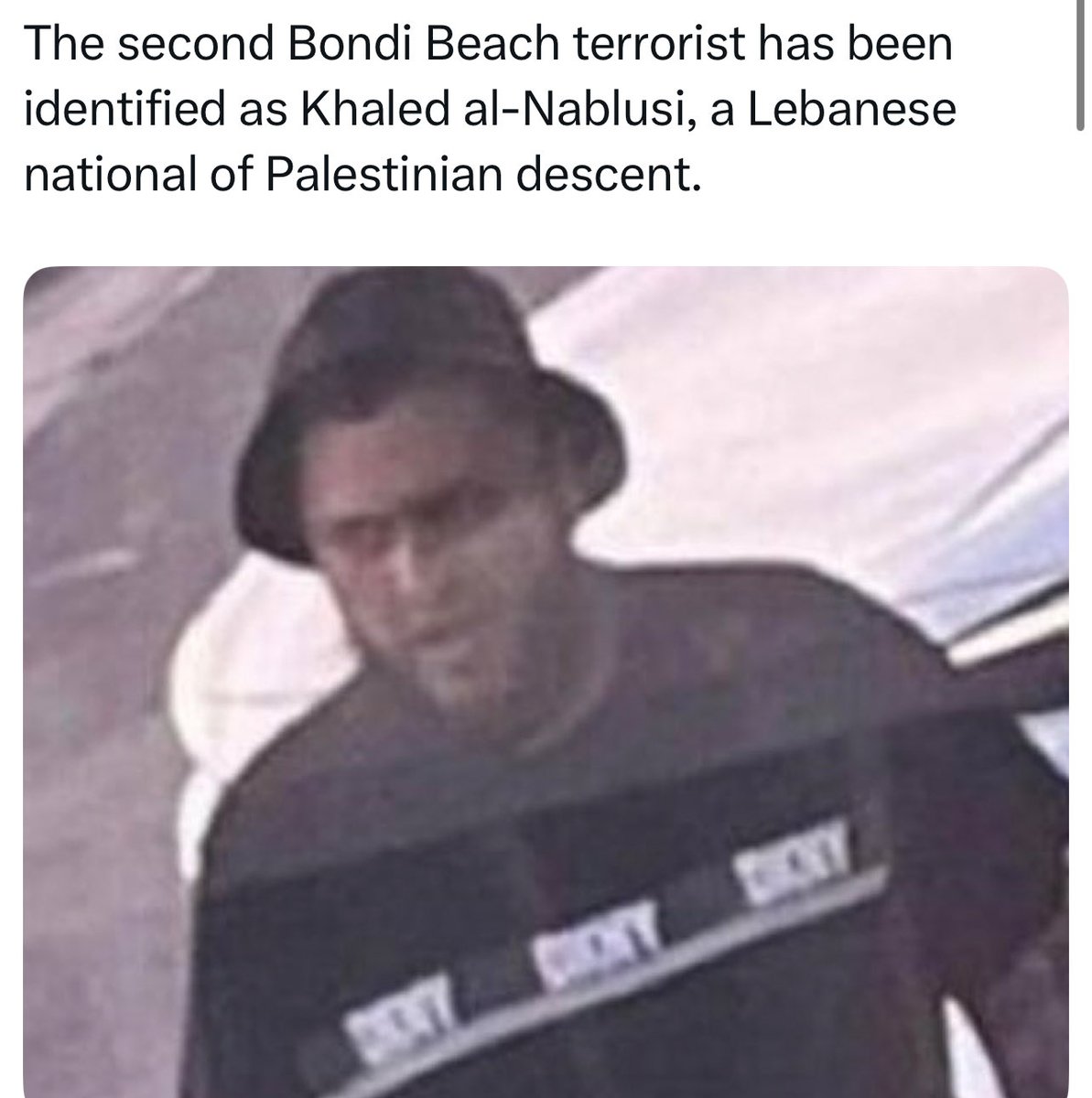 Michal/Michele -מיכל✡️ 🟦 tweet media