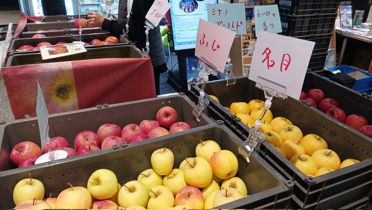 お知らせ📢 今日から明日15日(火)まで 山ノ内町さんが 当所前で リンゴ お知らせ📢 今日から明日15日(火)まで 山ノ内町さんが 当所前で リンゴ