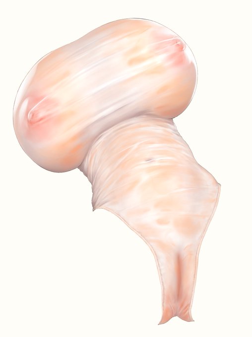 This is white swimsuit.😌 